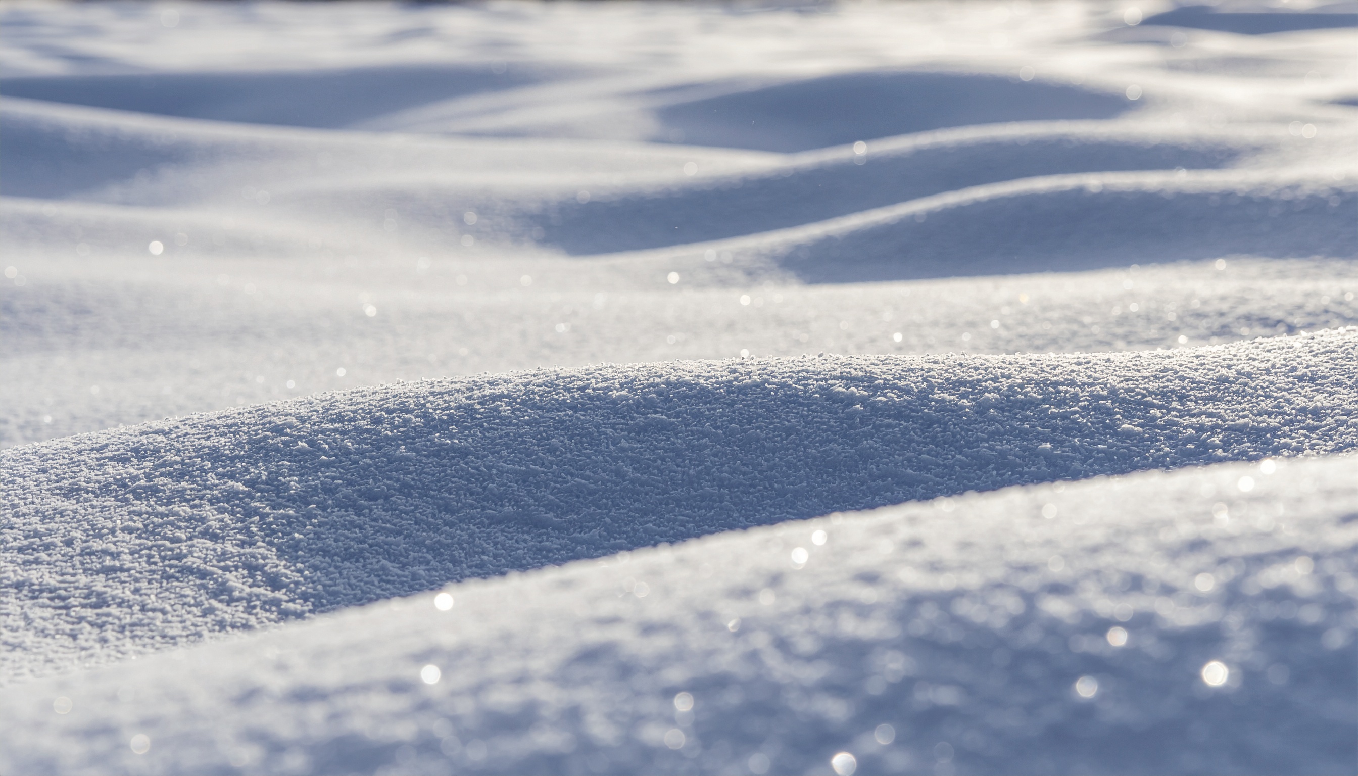 Fresh Snow with Soft Blue Shadows