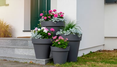 玄関前の寄せ植え ピンクと白