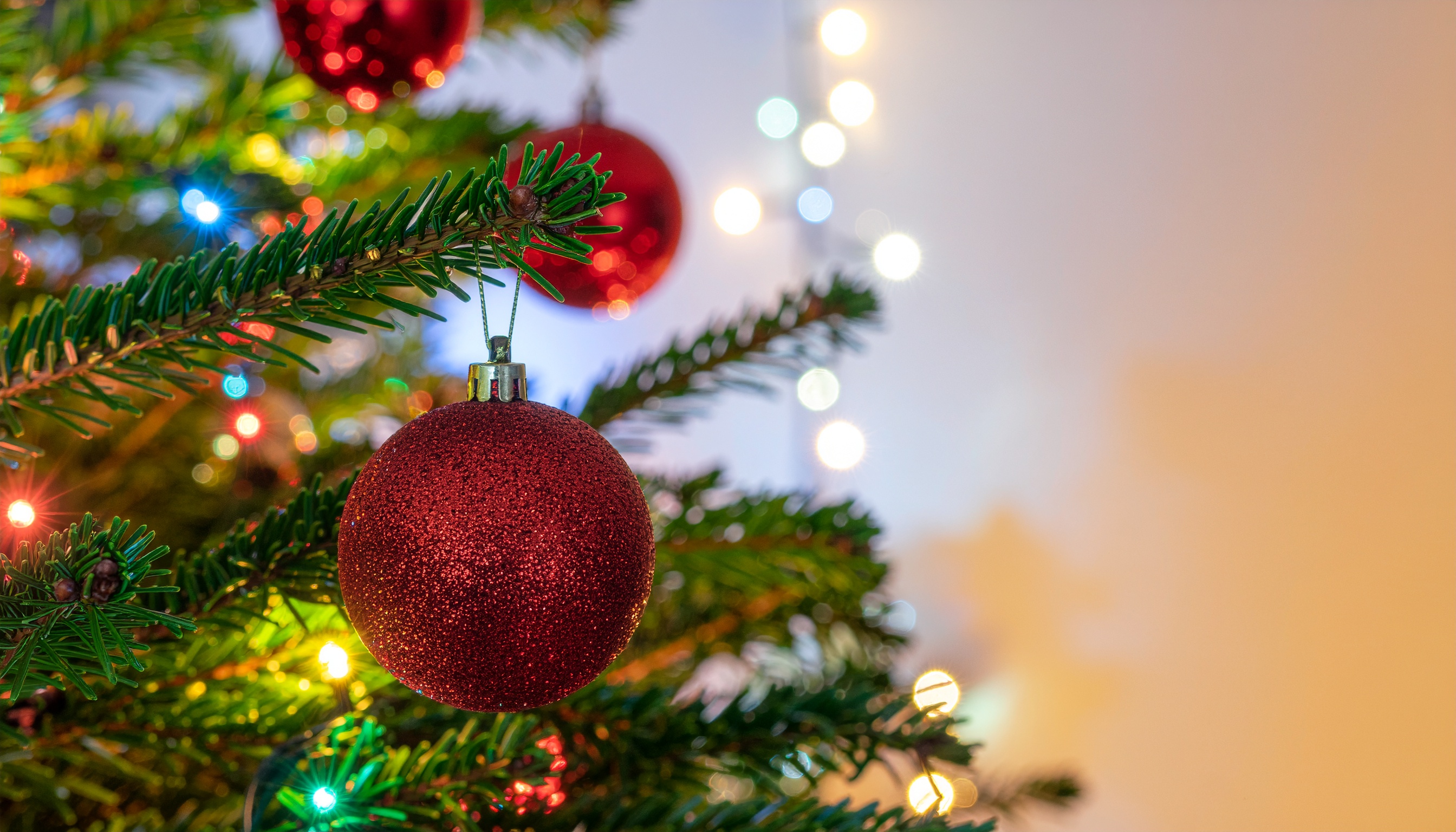 Red Ornaments on a Fir Tree