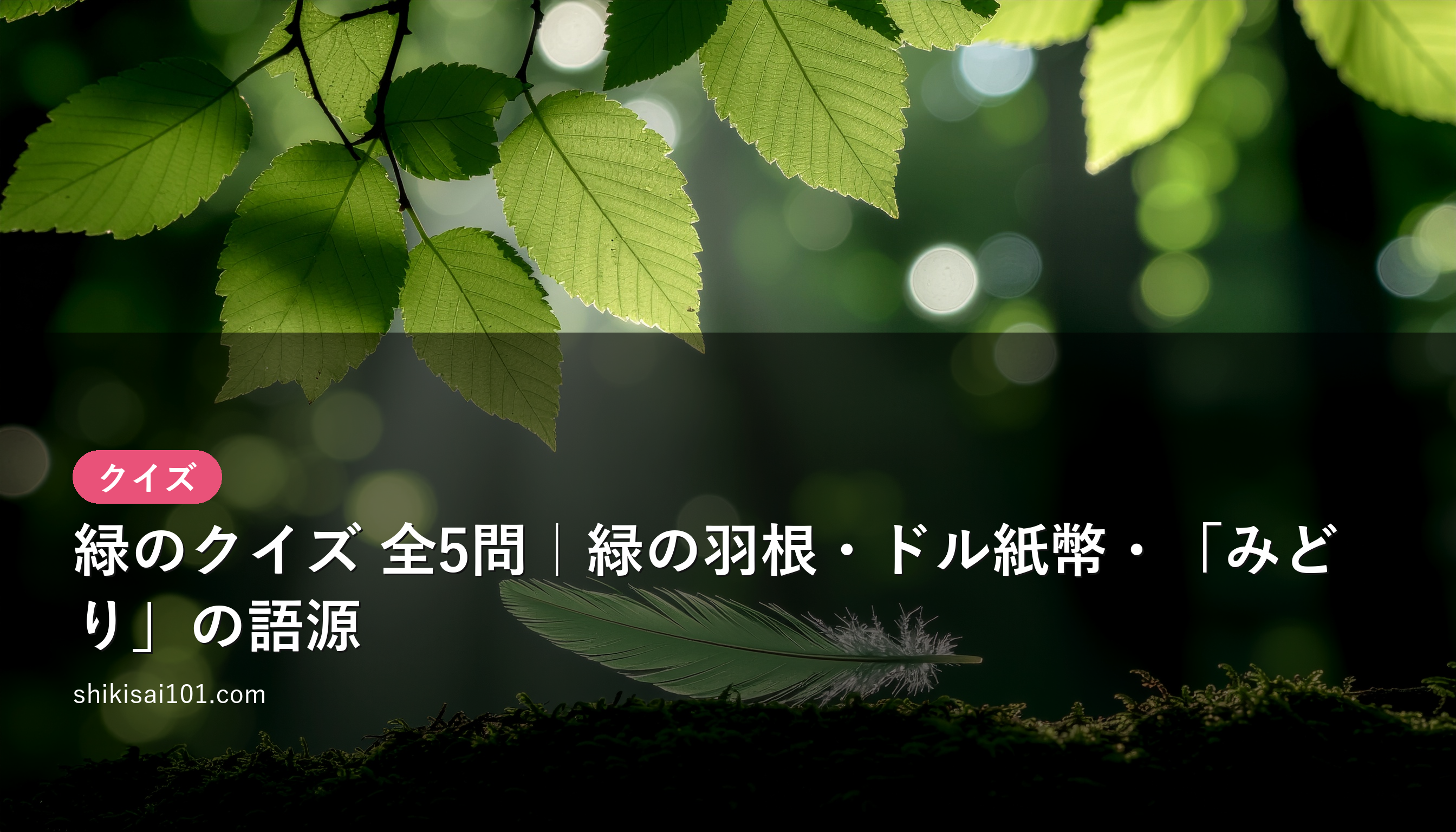 緑のクイズ 全5問｜緑の羽根・ドル紙幣・「みどり」の語源